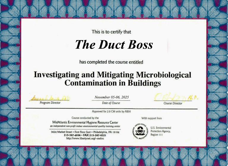IMMC Certificate