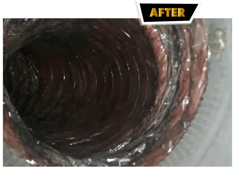 Mold After