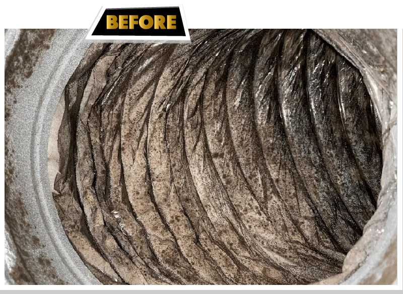 Mold Before